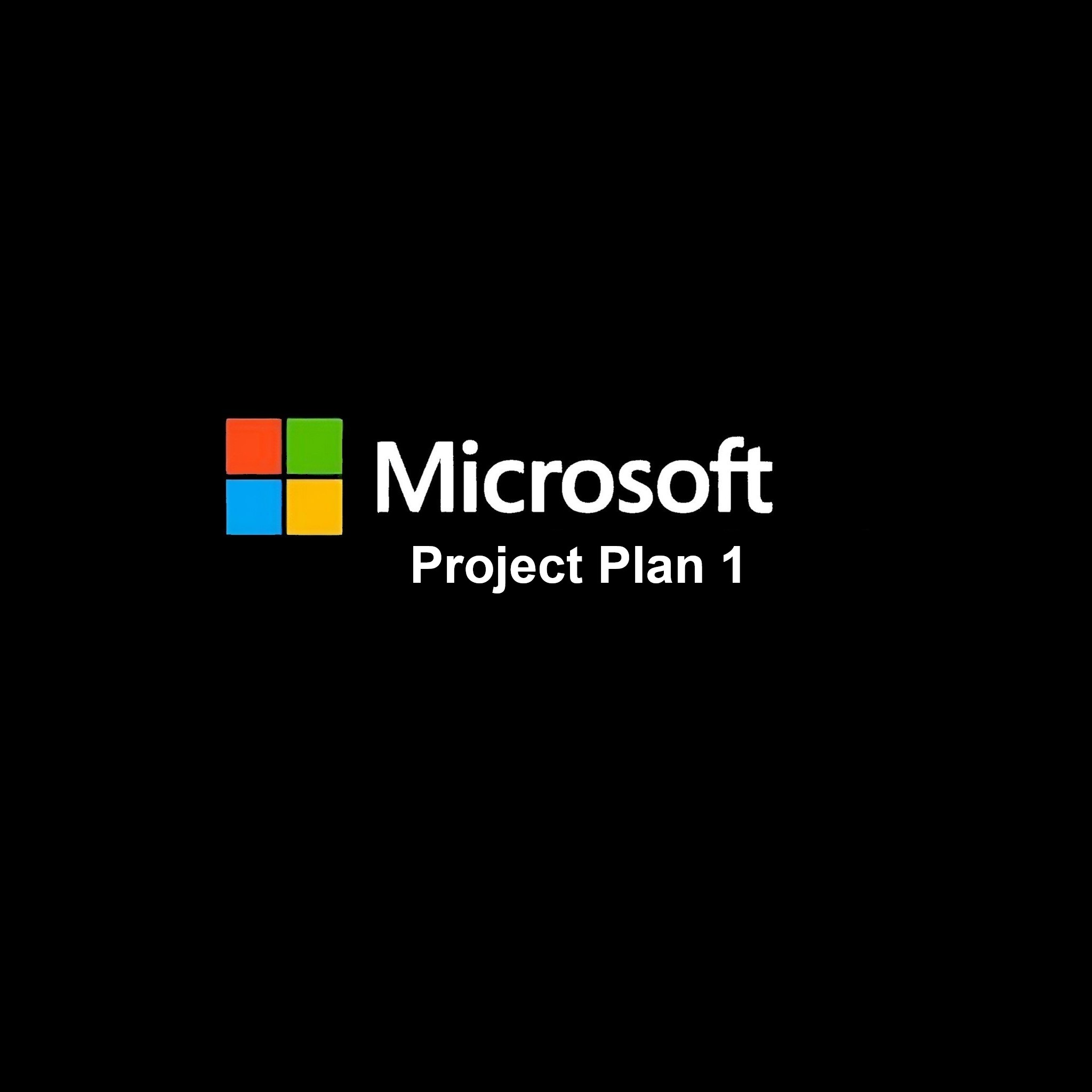 Project Plan 1
